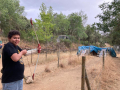 IMG-20220622-WA0171
