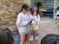 IMG-20220623-WA0160