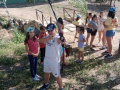 image00032