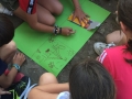 IMG-20190626-WA0034