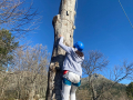 IMG-20230328-WA0068