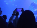 IMG-20230328-WA0082
