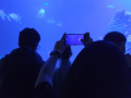 IMG-20230328-WA0084