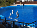 IMG-20230328-WA0085