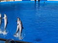 IMG-20230328-WA0087