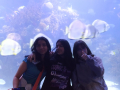 IMG-20230328-WA0088