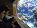 IMG-20230328-WA0093