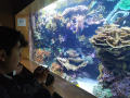 IMG-20230328-WA0096