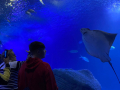 IMG-20230328-WA0097
