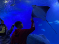 IMG-20230328-WA0100