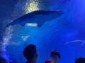 IMG-20230328-WA0105