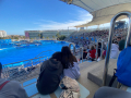 IMG-20230328-WA0109