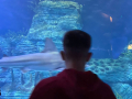 IMG-20230328-WA0116