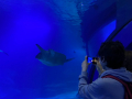 IMG-20230328-WA0120