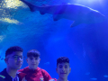 IMG-20230328-WA0122