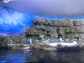 IMG-20230328-WA0134