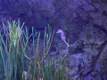 IMG-20230328-WA0135