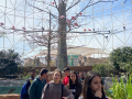 IMG-20230328-WA0136