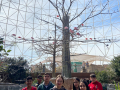 IMG-20230328-WA0138