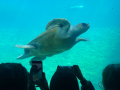 IMG-20230328-WA0152