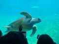 IMG-20230328-WA0154