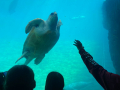 IMG-20230328-WA0160