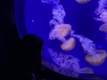 IMG-20230328-WA0161