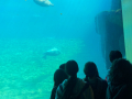 IMG-20230328-WA0162
