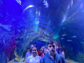 IMG-20230328-WA0164