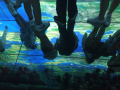 IMG-20230328-WA0239