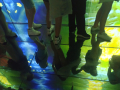 IMG-20230328-WA0241