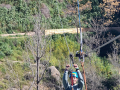 IMG-20240229-WA0086