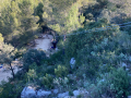 IMG-20230329-WA0159