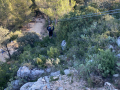 IMG-20230329-WA0173