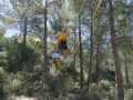 IMG-20230329-WA0176