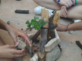 IMG-20230329-WA0212