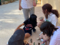 IMG-20230329-WA0215