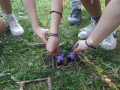 IMG-20230329-WA0220