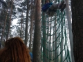 IMG-20181218-WA0028