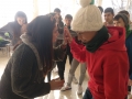 IMG-20181219-WA0108
