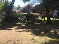 IMG-20180517-WA0105