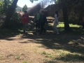IMG-20180517-WA0106