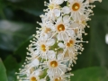 IMG-20180509-WA0021