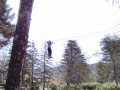 IMG-20220324-WA0109