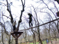 IMG-20220324-WA0129