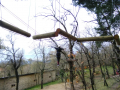 IMG-20220324-WA0143