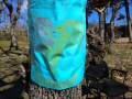 IMG-20190313-WA0010