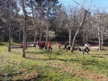 IMG-20190313-WA0068