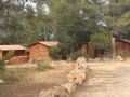descarga (2)