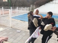 IMG-20181217-WA0060